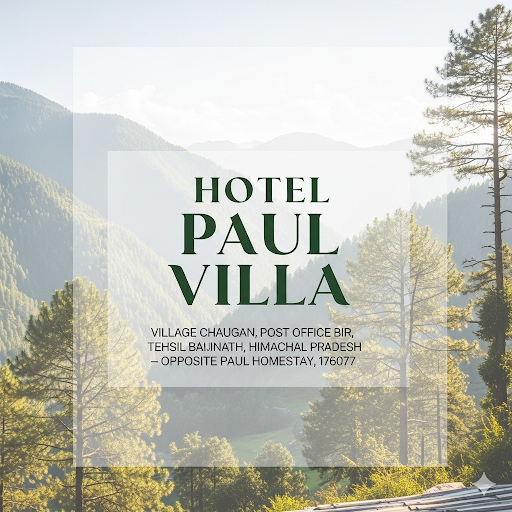 Cover photo of Hotel Paul Villa